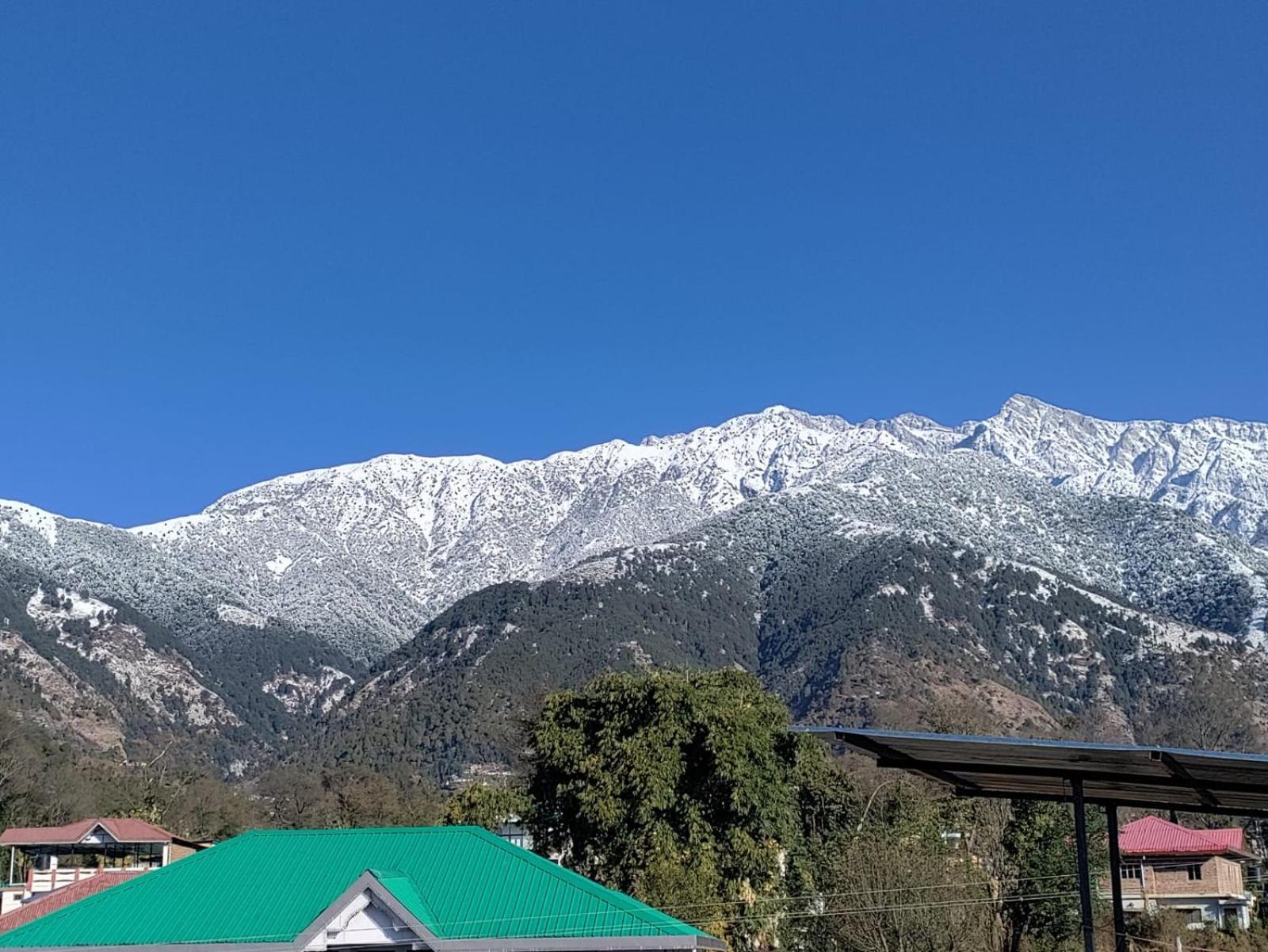 Homestay Palampur View Exterior photo