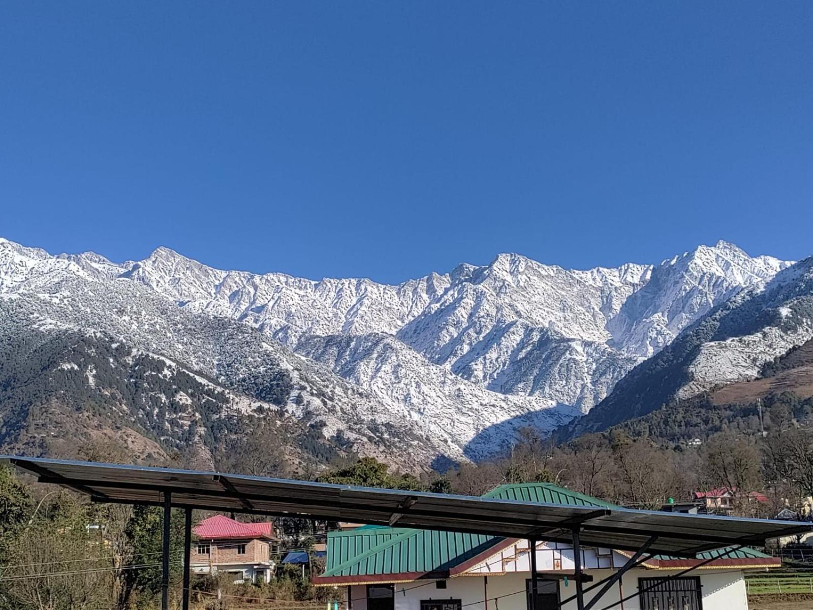 Homestay Palampur View Exterior photo