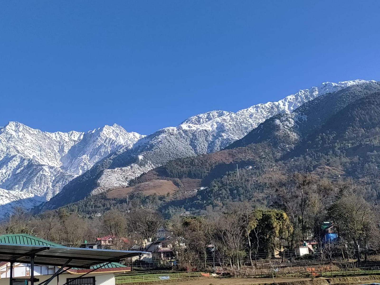 Homestay Palampur View Exterior photo