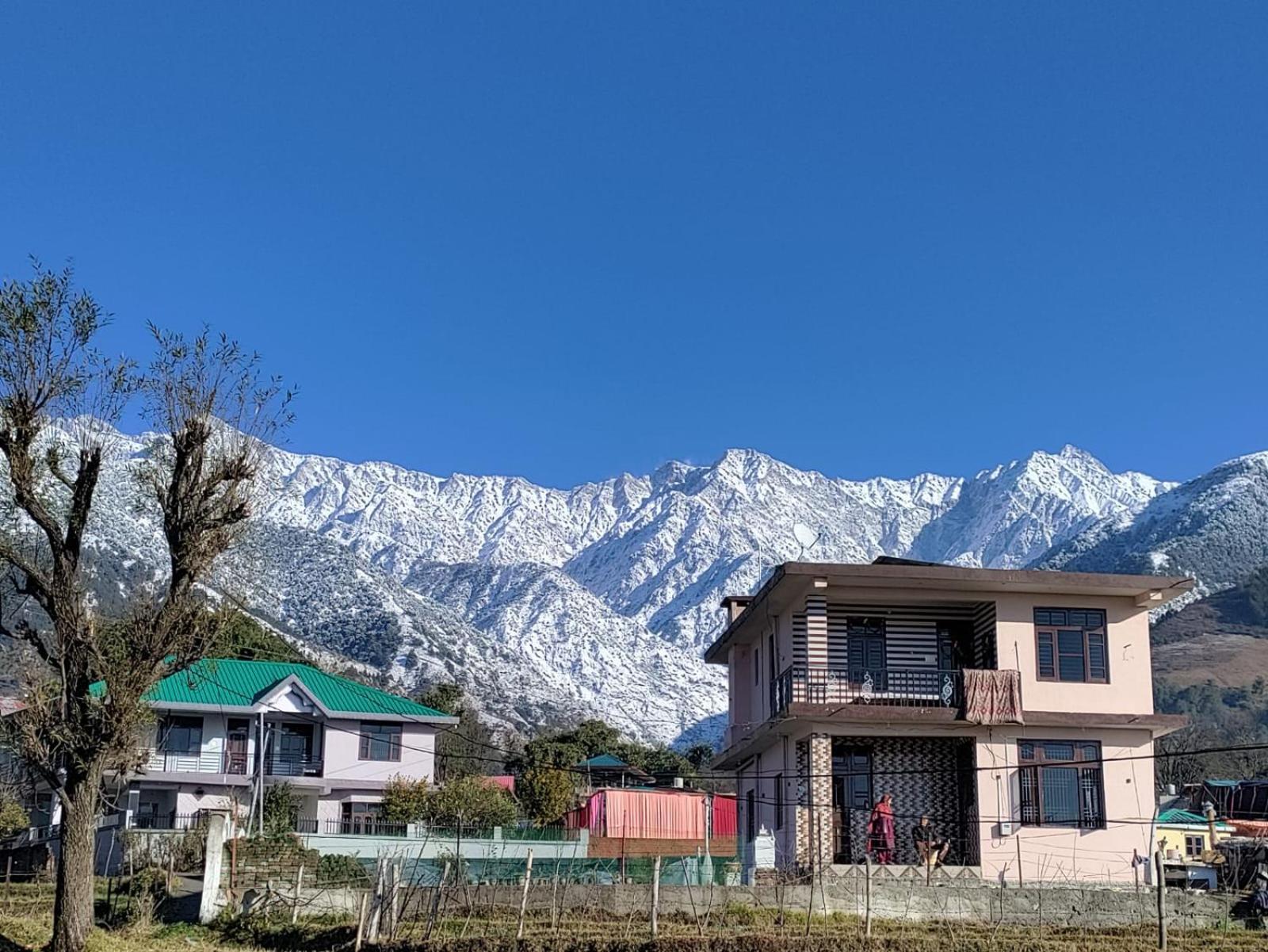 Homestay Palampur View Exterior photo